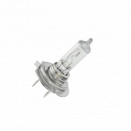 Image for 12V Headlamp Bulbs
