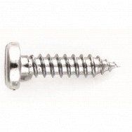 Image for Pan Head Slotted Tapping Screws - No. 10 x 3/4?
